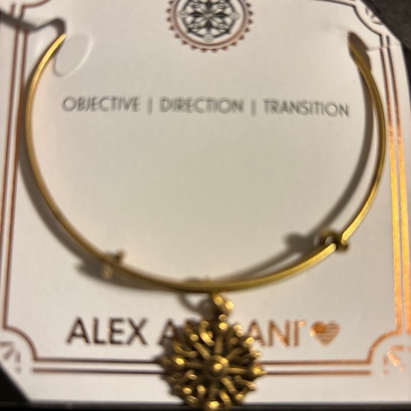 Alex and Ani Objective Direction Transition Compass Charm Bracelet New in Box - Picture 4 of 4